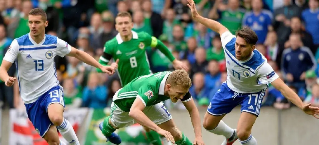 平博APP-爱尔兰联赛